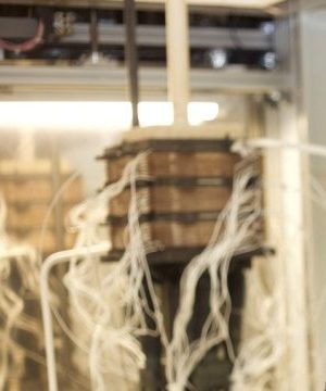 Thermal effects on polarisation curve in high compactness CEA stack